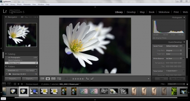 Lightroom Training